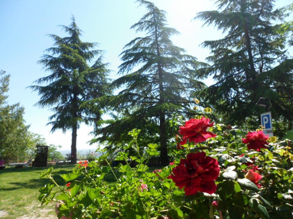 Agriturismo La Quiete Roncofreddo Ngoại thất bức ảnh